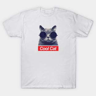 Cool Cat - Box Logo T-Shirt